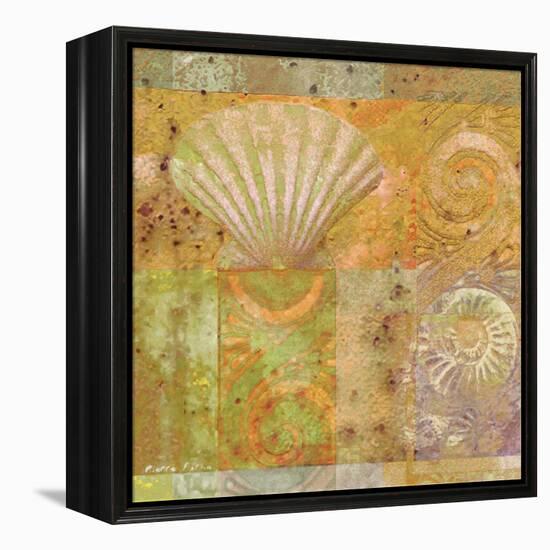 Seashell Collage-Pierre Fortin-Framed Stretched Canvas