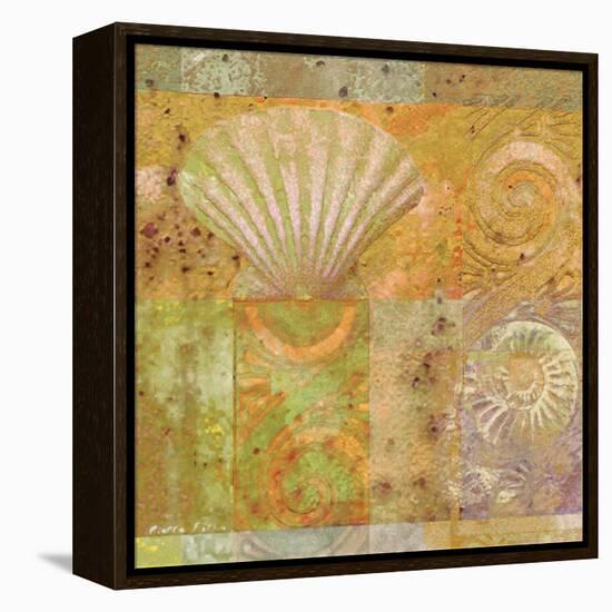 Seashell Collage-Pierre Fortin-Framed Stretched Canvas