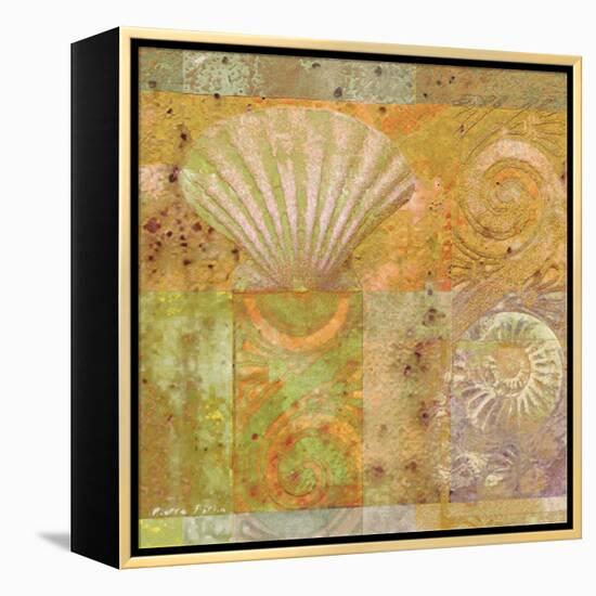 Seashell Collage-Pierre Fortin-Framed Stretched Canvas