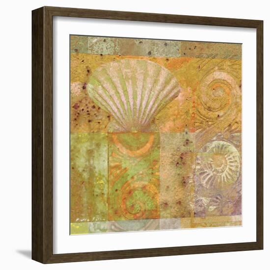 Seashell Collage-Pierre Fortin-Framed Premium Giclee Print