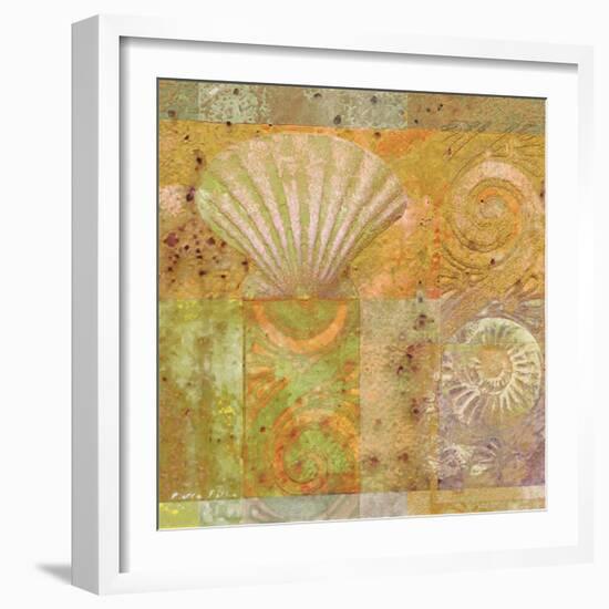 Seashell Collage-Pierre Fortin-Framed Premium Giclee Print