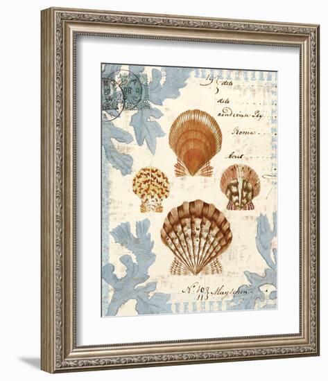 Seashell Collection I-Sabine Berg-Framed Art Print