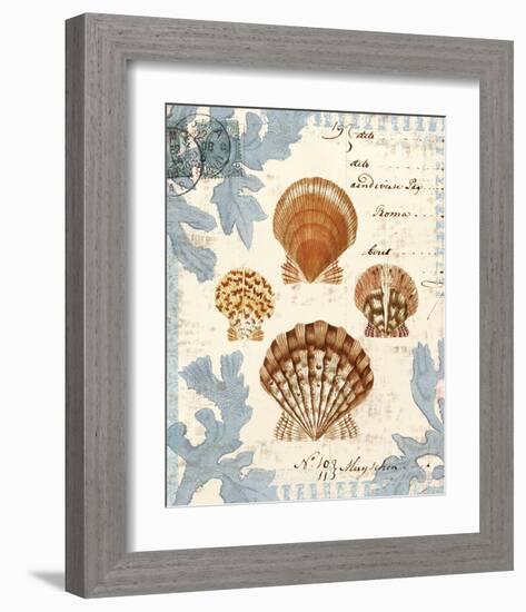 Seashell Collection I-Sabine Berg-Framed Art Print