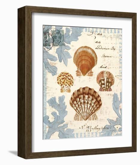 Seashell Collection I-Sabine Berg-Framed Art Print