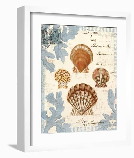 Seashell Collection I-Sabine Berg-Framed Art Print