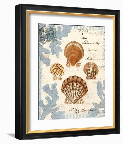 Seashell Collection I-Sabine Berg-Framed Art Print