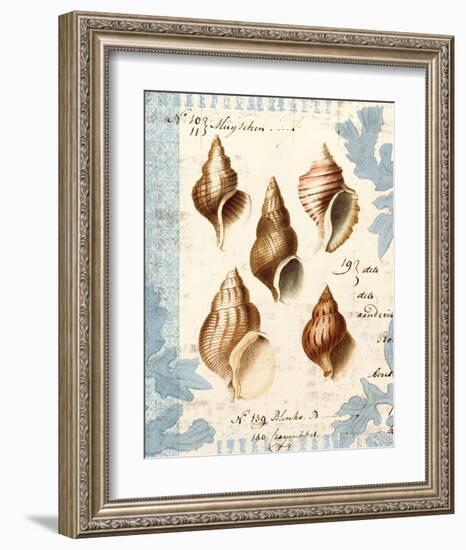 Seashell Collection II-Sabine Berg-Framed Art Print