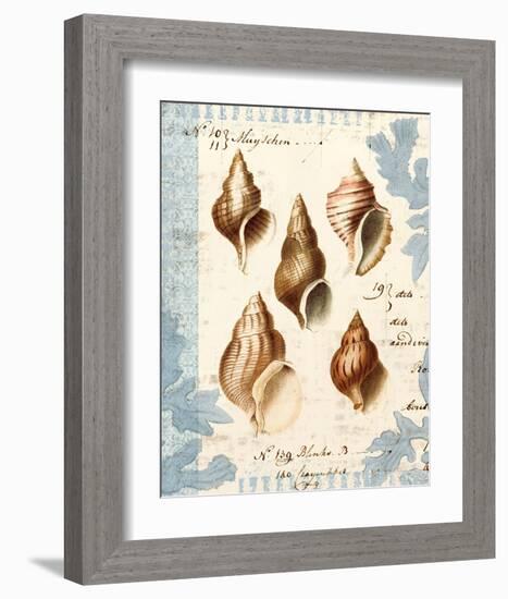 Seashell Collection II-Sabine Berg-Framed Art Print