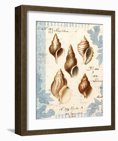 Seashell Collection II-Sabine Berg-Framed Art Print