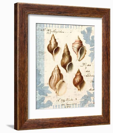 Seashell Collection II-Sabine Berg-Framed Art Print