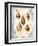 Seashell Collection II-Sabine Berg-Framed Art Print