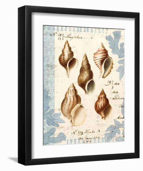 Seashell Collection II-Sabine Berg-Framed Art Print