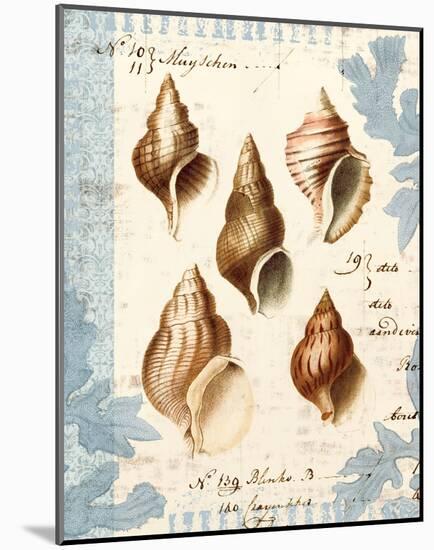 Seashell Collection II-Sabine Berg-Mounted Art Print