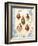 Seashell Collection II-Sabine Berg-Framed Art Print