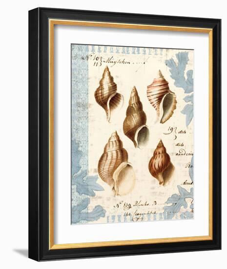 Seashell Collection II-Sabine Berg-Framed Art Print