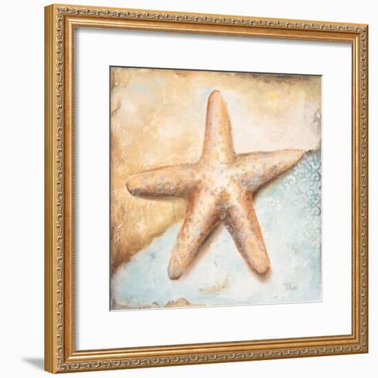 Seashell Collection II-Patricia Pinto-Framed Premium Giclee Print