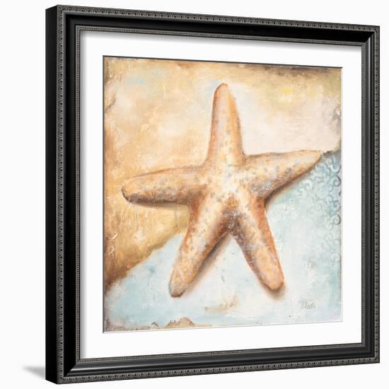 Seashell Collection II-Patricia Pinto-Framed Premium Giclee Print