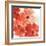 Seashell Cosmos II Red and Orange-Chris Paschke-Framed Art Print