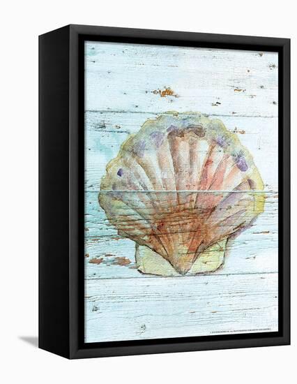 Seashell I-null-Framed Stretched Canvas