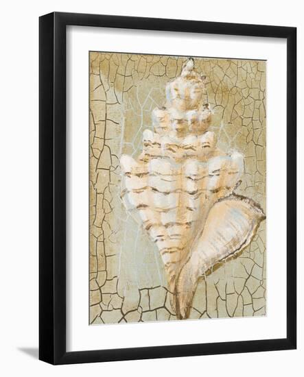 Seashell I-Hakimipour-ritter-Framed Art Print