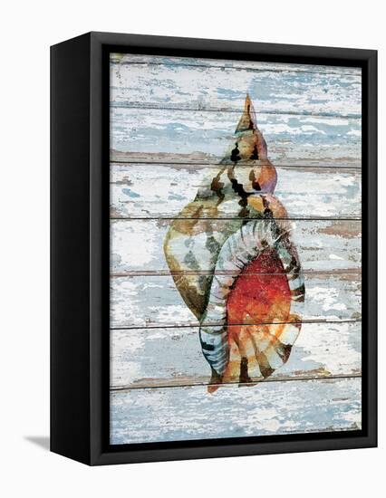 Seashell II-null-Framed Stretched Canvas