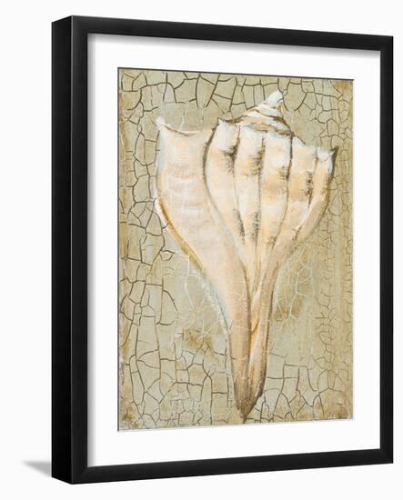 Seashell II-Hakimipour-ritter-Framed Art Print