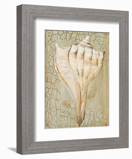 Seashell II-Hakimipour-ritter-Framed Art Print