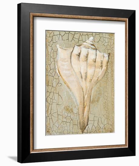 Seashell II-Hakimipour-ritter-Framed Art Print