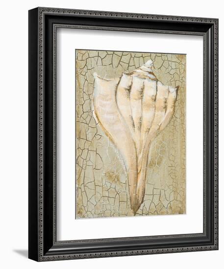 Seashell II-Hakimipour-ritter-Framed Art Print