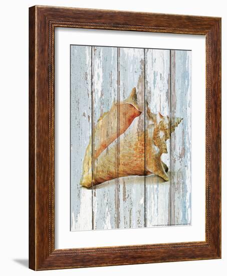 Seashell III-null-Framed Art Print