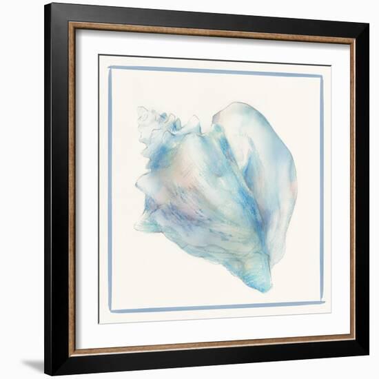 Seashell Serenade I-Lily K-Framed Art Print