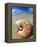 Seashell Sitting in Shallow Water-Leslie Richard Jacobs-Framed Premier Image Canvas