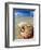 Seashell Sitting in Shallow Water-Leslie Richard Jacobs-Framed Photographic Print