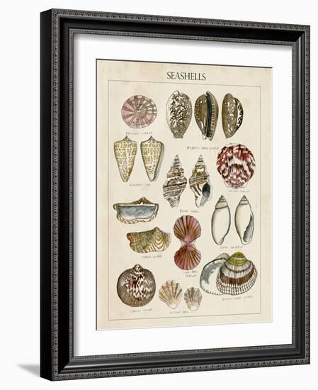 Seashell Sketch I-Naomi McCavitt-Framed Art Print