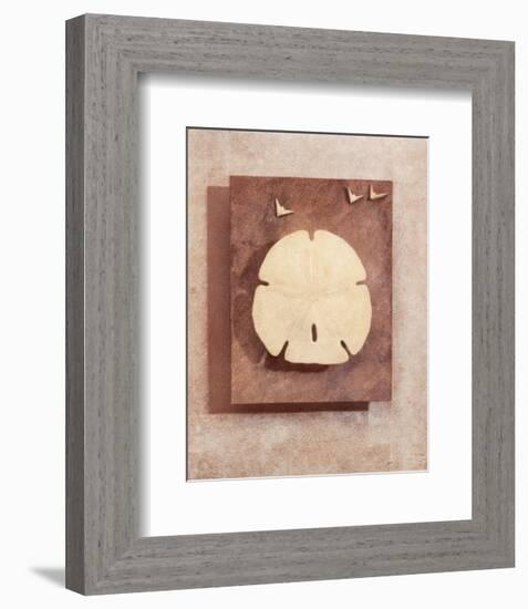 Seashell Study I-Julie Nightingale-Framed Art Print