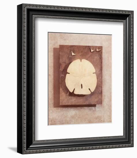 Seashell Study I-Julie Nightingale-Framed Art Print