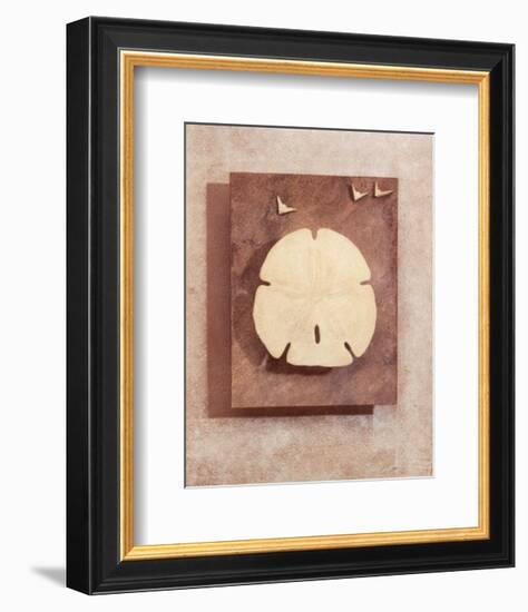 Seashell Study I-Julie Nightingale-Framed Art Print