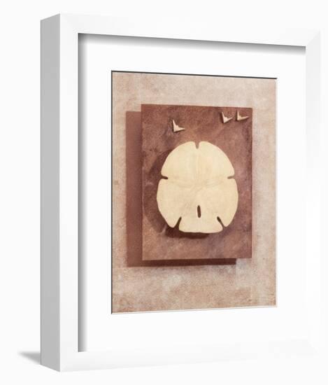 Seashell Study I-Julie Nightingale-Framed Art Print