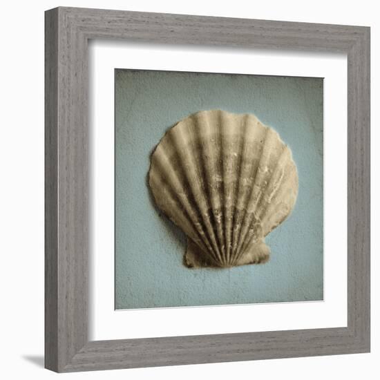 Seashell Study II-Heather Jacks-Framed Art Print