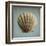 Seashell Study II-Heather Jacks-Framed Art Print