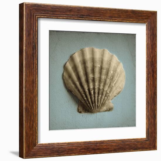 Seashell Study II-Heather Jacks-Framed Art Print