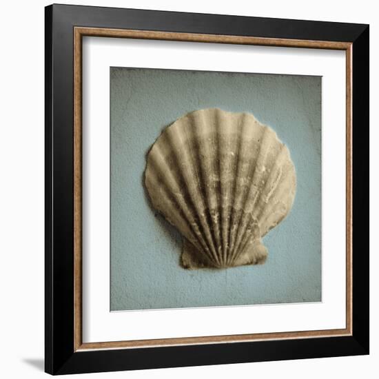 Seashell Study II-Heather Jacks-Framed Art Print