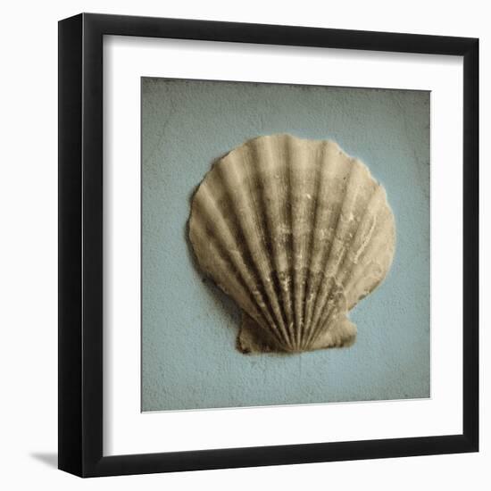 Seashell Study II-Heather Jacks-Framed Art Print