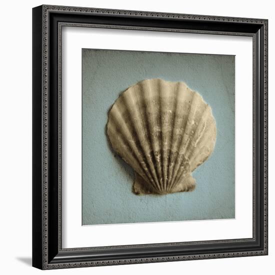 Seashell Study II-Heather Jacks-Framed Art Print