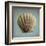 Seashell Study II-Heather Jacks-Framed Art Print