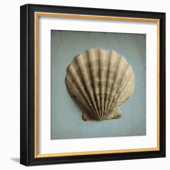 Seashell Study II-Heather Jacks-Framed Art Print