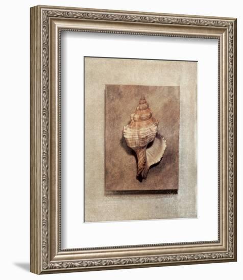 Seashell Study III-Julie Nightingale-Framed Art Print