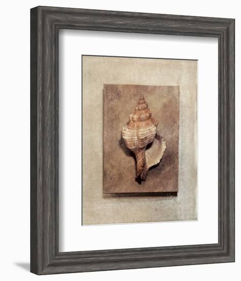 Seashell Study III-Julie Nightingale-Framed Art Print