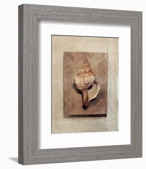 Seashell Study III-Julie Nightingale-Framed Art Print