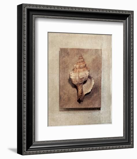 Seashell Study III-Julie Nightingale-Framed Art Print